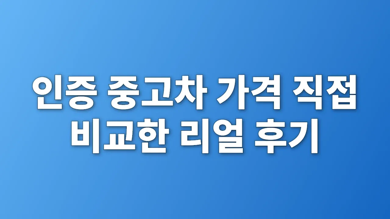 인증 중고차 가격 직접 비교한 리얼 후기